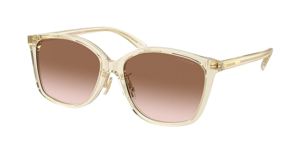 Coach Ch617 8361F Sunglasses