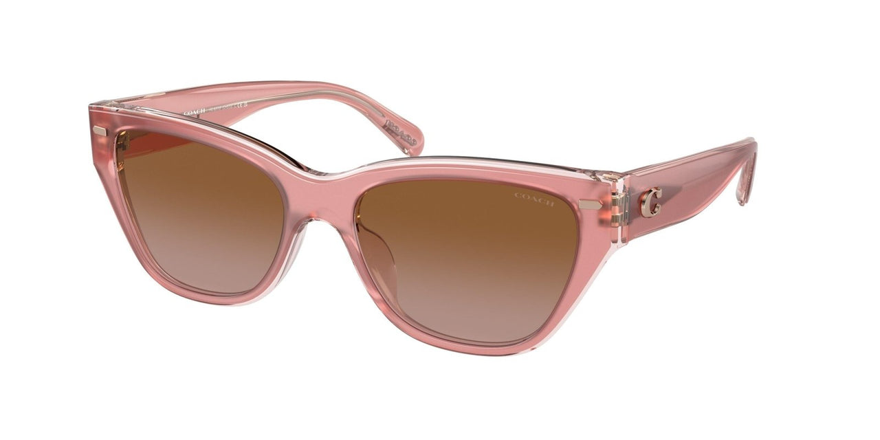 Coach Ch660 8370F Sunglasses