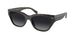 Coach Ch660 8370F Sunglasses