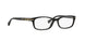 Coach Elise 6054 Eyeglasses