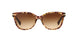 Coach L109 8132 Sunglasses