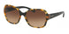 Coach L154 8166 Sunglasses