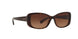 Coach L156 8168 Sunglasses