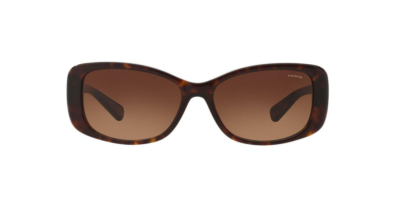 Coach L156 8168 Sunglasses