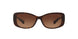 Coach L156 8168 Sunglasses