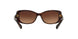 Coach L156 8168 Sunglasses