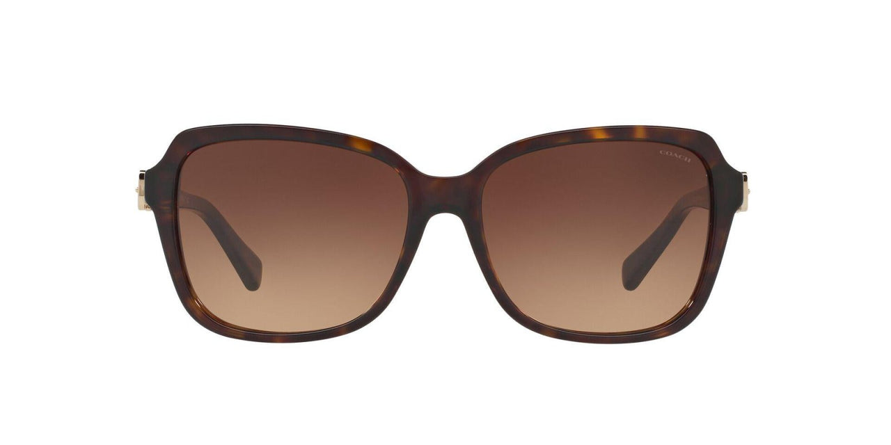 Coach L1598 8179 Sunglasses