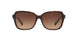 Coach L1598 8179 Sunglasses