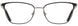 Cote DAzur CDA289 Eyeglasses