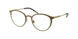 Polo 1197 Eyeglasses