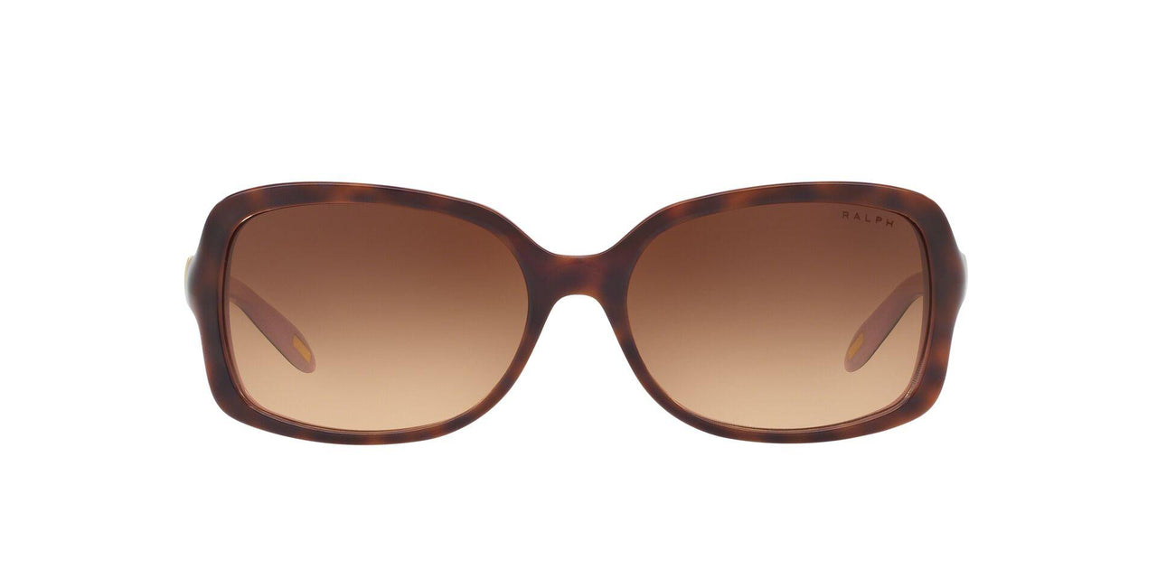 159613 - Havana - Brown Gradient