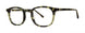 Seraphin ALDEN Eyeglasses