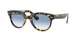 Ray-Ban Orion 2199 Sunglasses