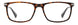 Polaroid Core PLDD458 Eyeglasses