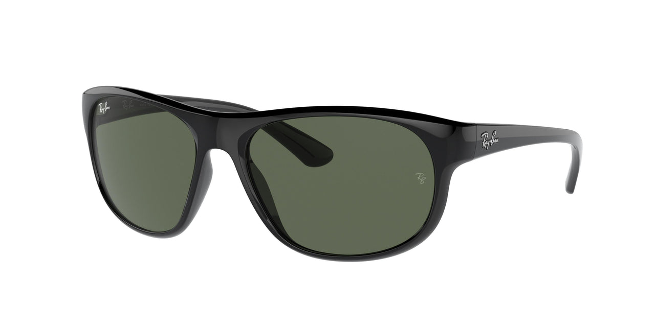 Ray-Ban 4351 Sunglasses