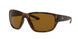 Ray-Ban 4300 Sunglasses