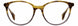 STATE Optical Co. WELLS Eyeglasses