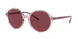 Ray-Ban 4304 Sunglasses