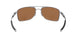 412409 - Silver - Prizm Tungsten Polarized