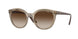 Vogue Eyewear 5427S Sunglasses