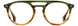 STATE Optical Co. WEBSTER Eyeglasses