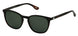 New Balance 6031 Sunglasses