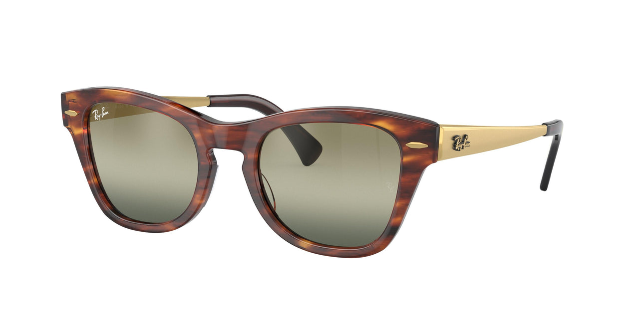 Ray-Ban 0707SM Sunglasses