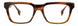 STATE Optical Co. WOLCOTT Eyeglasses