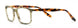 NW77th MOD1037 Eyeglasses