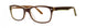 Destiny DELRAY Eyeglasses