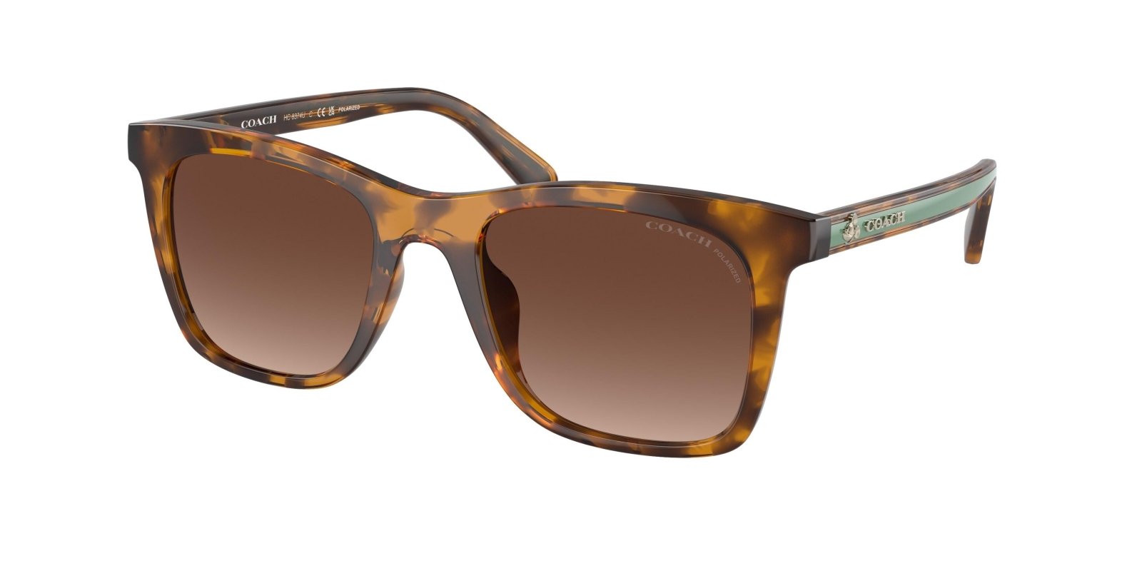 Coach sunglasses cheap online