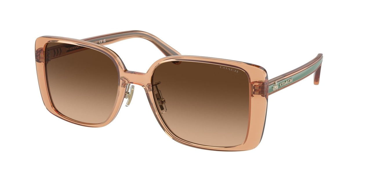 Coach - Sunglasses For Women : Signature Chain Oval Sunglasses