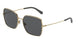 Dolce & Gabbana 2242 Sunglasses