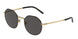 Dolce & Gabbana 2286 Sunglasses