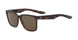 Dragon DR BAILE LL POLAR Sunglasses