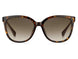 0086-HA - Dark Havana - Brown Gradient