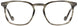 Scott Harris SHVIN50 Eyeglasses