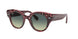 Ray-Ban Roundabout 2192F Sunglasses