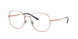 Ray-Ban 3682V Eyeglasses