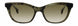 STATE Optical Co. HALSTEDSW Sunglasses