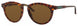 Smith Questa Sunglasses