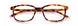 Paradigm 21-08 Eyeglasses