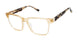 Ted Baker TW014 Eyeglasses