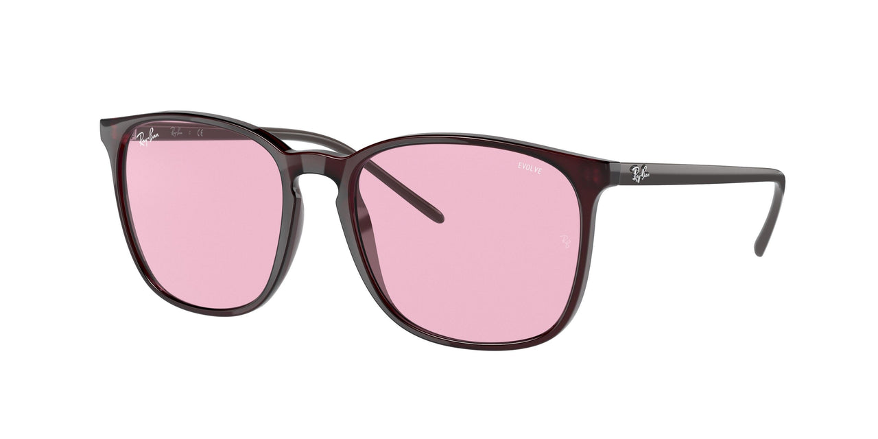 Ray-Ban 4387F Sunglasses