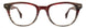 STATE Optical Co. TAYLOR Eyeglasses