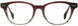 STATE Optical Co. TAYLORGF Eyeglasses