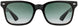 3 - Black Tortoise - SunVogue Green Gradient