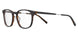 Elasta E1648 Eyeglasses