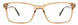 Elements EL242 Eyeglasses