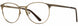 Elements EL348 Eyeglasses